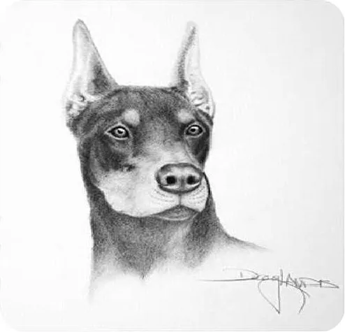 DIBUJOS HERMOSOS DE ALGUIEN QUE PINTA CON SU BOCA ...