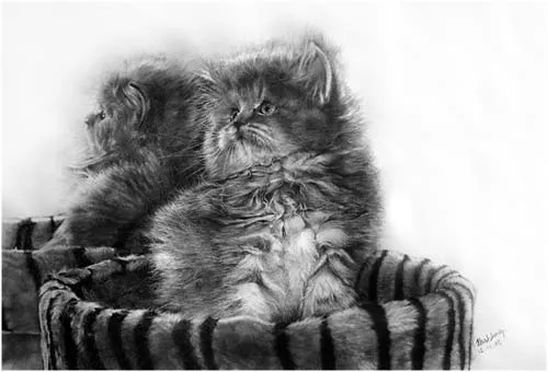 Dibujos hiperrealistas de gatos | LaReserva