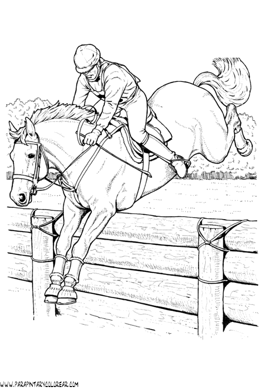 dibujos-hipica-004