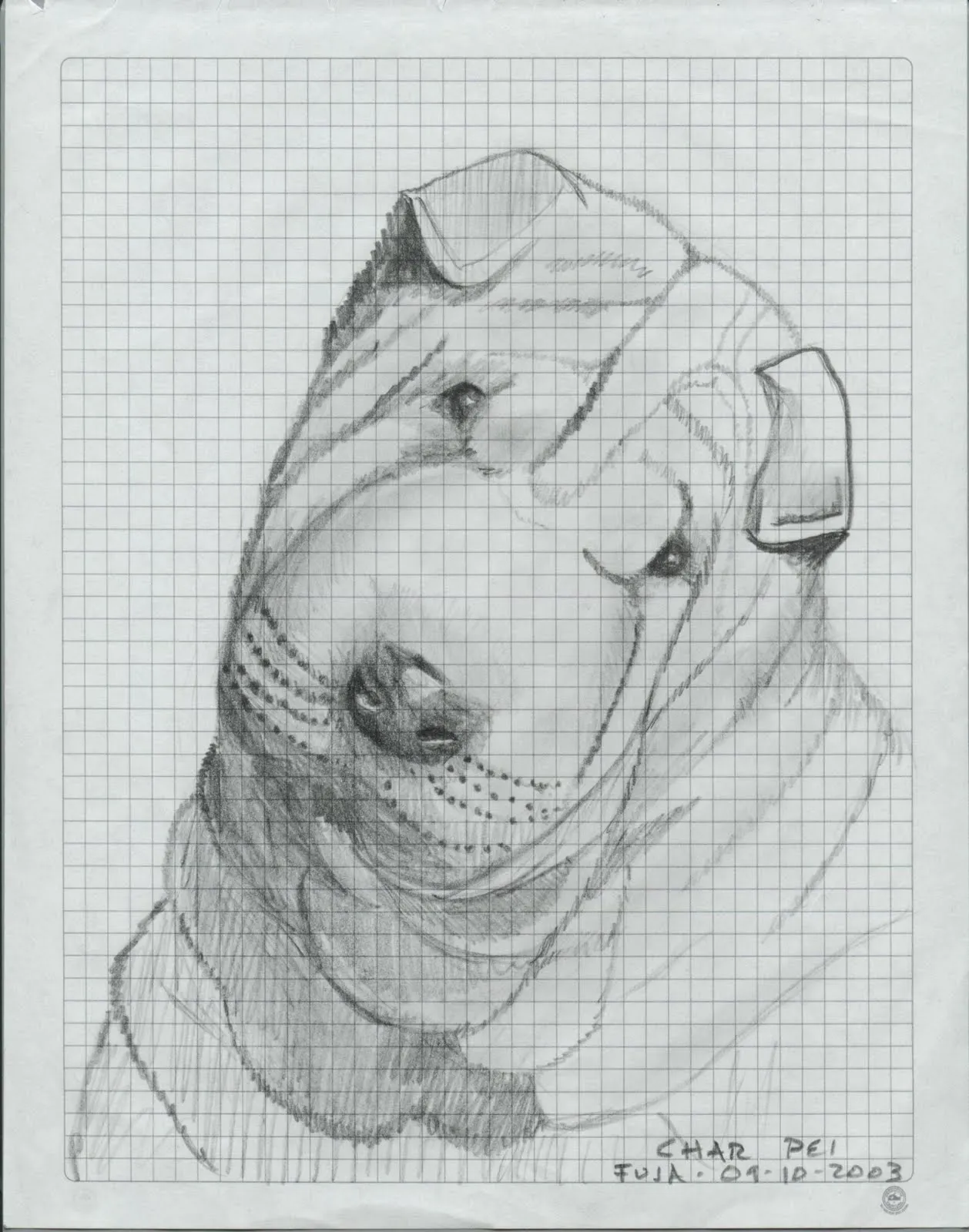 Como hacer dibujos en hoja cuadriculada - Imagui