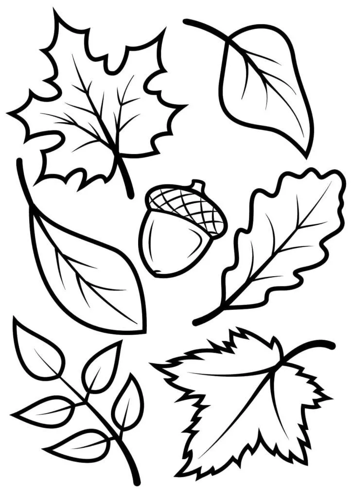 Dibujos de Hojas para colorear | 90 Imágenes para niños Dibujos de Hojas para colorear | 90 Imágenes para niños