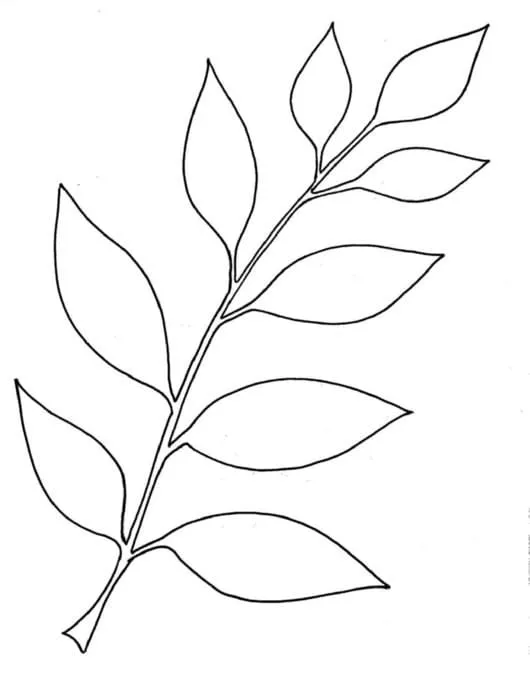 Dibujos de Hojas para colorear | 90 Imágenes para niños Dibujos de Hojas para colorear | 90 Imágenes para niños