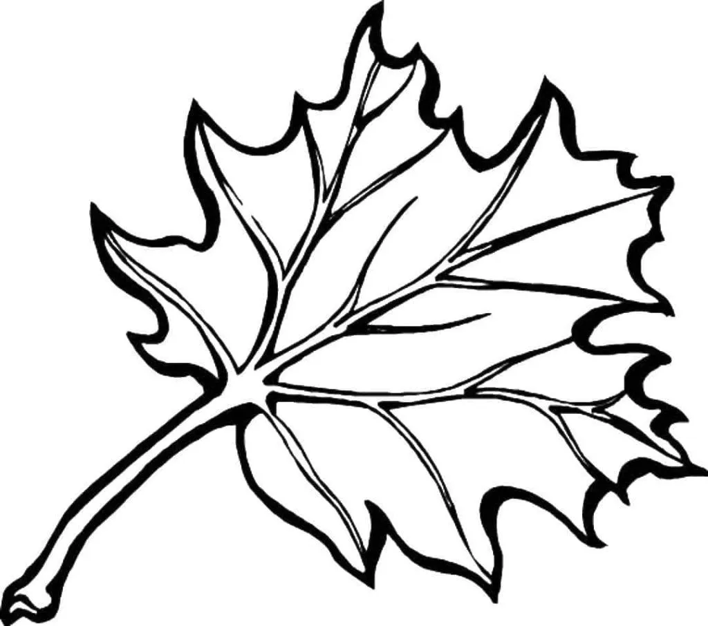 Dibujos de Hojas para colorear | 90 Imágenes para niños Dibujos de Hojas para colorear | 90 Imágenes para niños