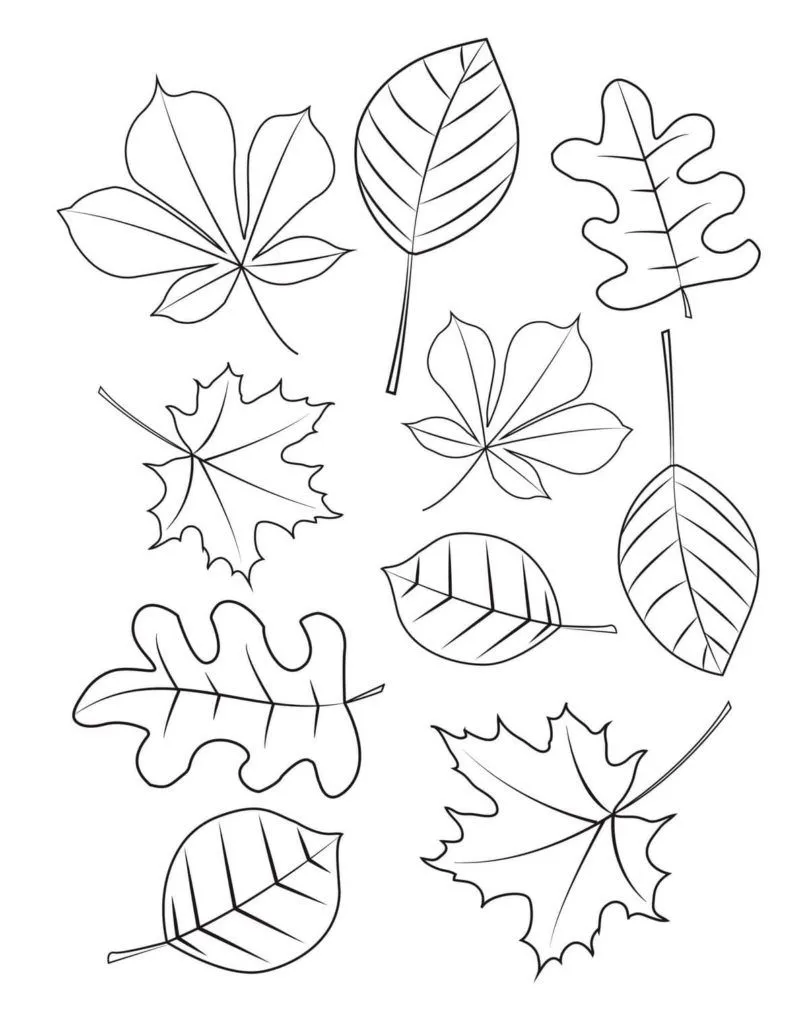 Dibujos de Hojas para colorear | 90 Imágenes para niños Dibujos de Hojas para colorear | 90 Imágenes para niños
