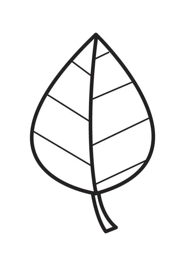 Dibujos de Hojas para colorear | 90 Imágenes para niños Dibujos de Hojas para colorear | 90 Imágenes para niños