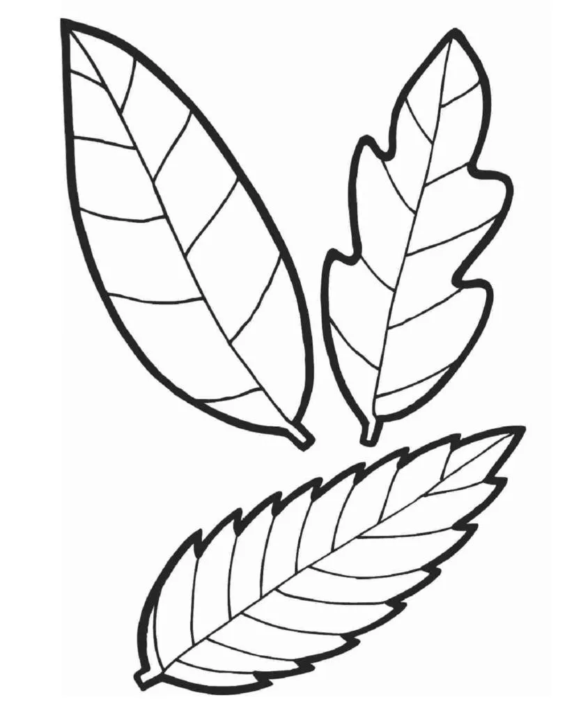 Dibujos de Hojas para colorear | 90 Imágenes para niños Dibujos de Hojas para colorear | 90 Imágenes para niños