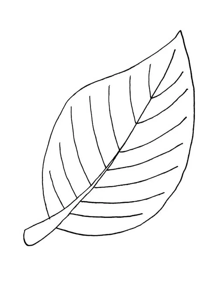 Dibujos de Hojas para colorear | 90 Imágenes para niños Dibujos de Hojas para colorear | 90 Imágenes para niños