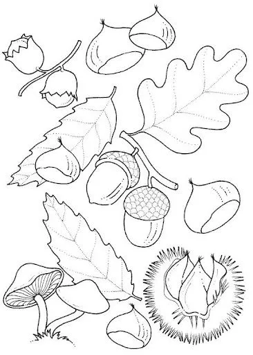 DIBUJOS DE HOJAS PARA COLOREAR E IMPRIMIR