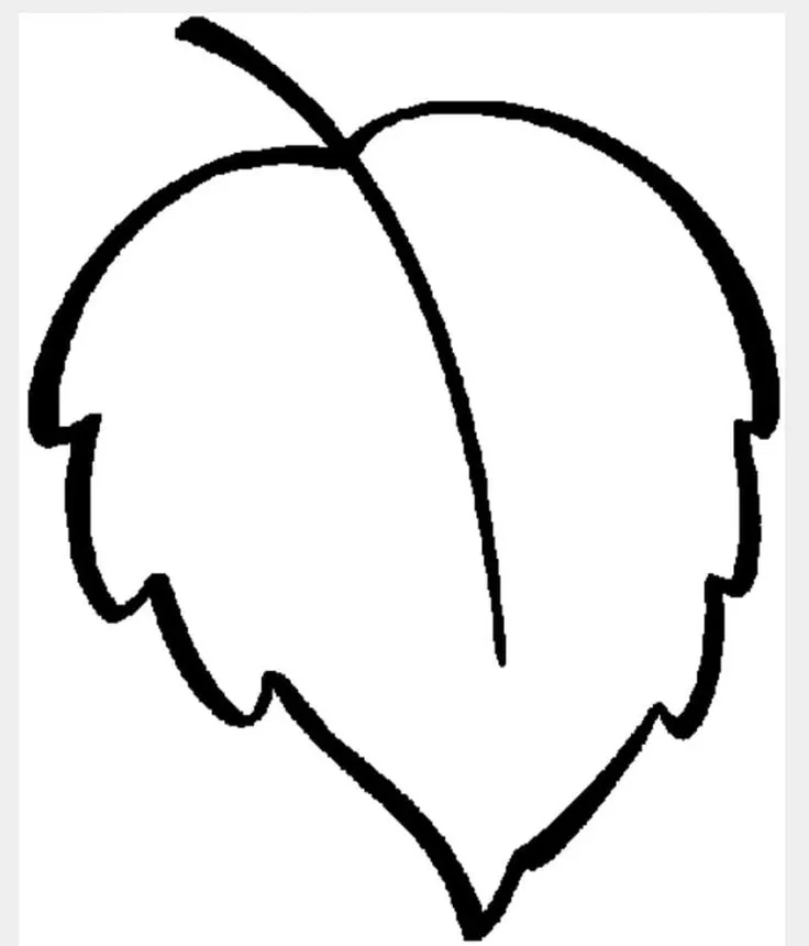 Dibujos de Hojas para Colorear | Diferentes tipos de hojas, Hojas para colorear, Hojas de otoño Dibujos de Hojas para Colorear | Diferentes tipos de hojas, Hojas para colorear, Hojas de otoño