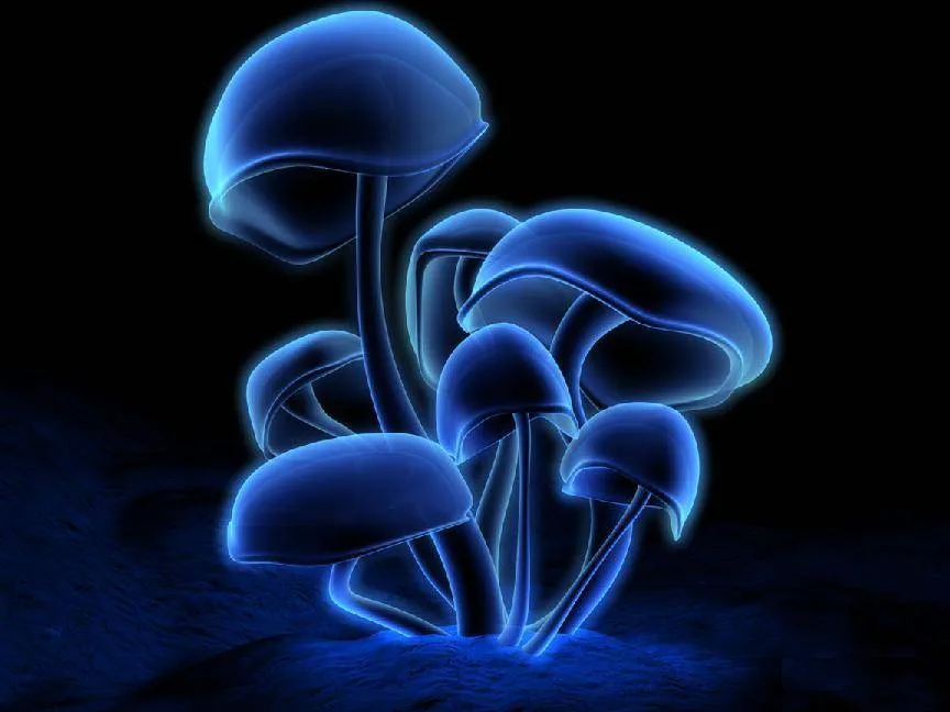 Imagenes De Hongos Animados