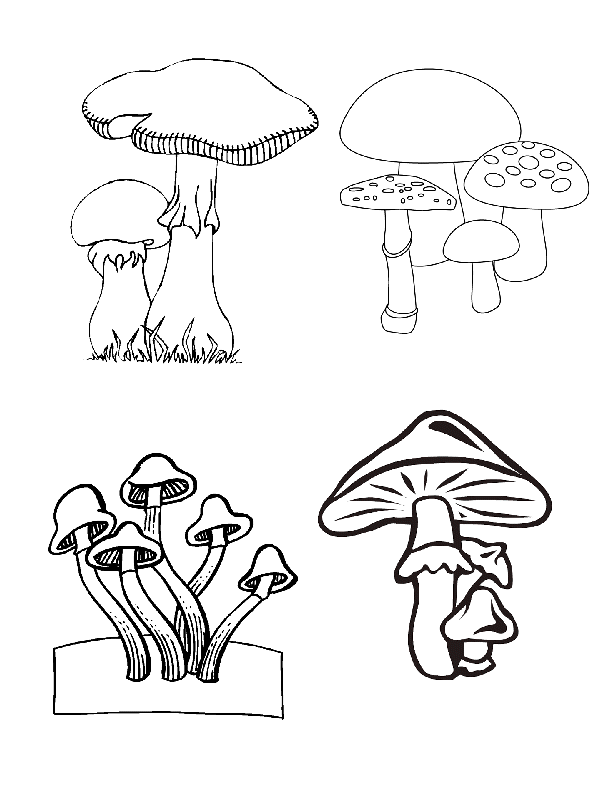 Dibujos del Reino Monera para colorear - Imagui Dibujos del Reino Monera para colorear - Imagui
