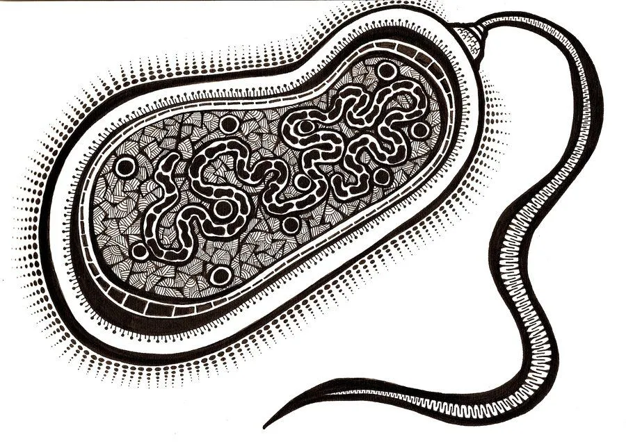 Dibujos de hongos y bacterias para colorear - Imagui Dibujos de hongos y bacterias para colorear - Imagui