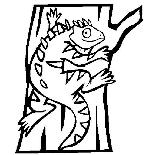 DIBUJOS DE IGUANAS PARA COLOREAR | Dibujos para colorear DIBUJOS DE IGUANAS PARA COLOREAR | Dibujos para colorear