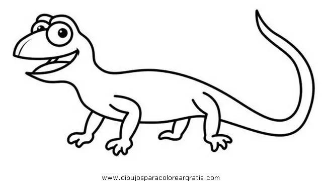 Dibujos De Iguanas Dibujos Para Colorear De Iguanas Dibujos De Iguanas Dibujos Para Colorear De Iguanas