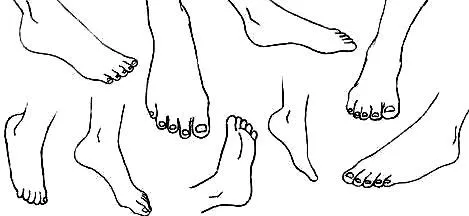 DIBUJOS IMAGENES BIOLOGIA SISTEMA APARATO: FOTOS DE LOS PIES DIBUJOS IMAGENES BIOLOGIA SISTEMA APARATO: FOTOS DE LOS PIES