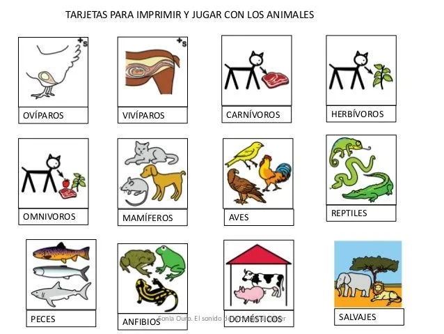 Dibujos para imprimir de animales carnivoros herbivoros y ...