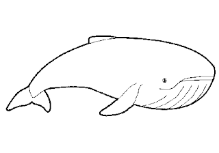 Ballenas en dibujos - Imagui