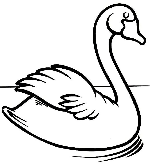 Cisnes para dibujar - Imagui