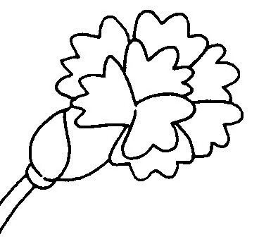Dibujos para imprimir y colorear: Clavel para colorear Dibujos para imprimir y colorear: Clavel para colorear