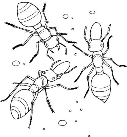 Dibujos para imprimir y colorear: Hormigas para colorear Dibujos para imprimir y colorear: Hormigas para colorear