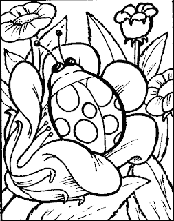 Dibujos para imprimir y colorear: Mariquita para colorear Dibujos para imprimir y colorear: Mariquita para colorear