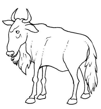 Dibujo ñandu para colorear - Imagui