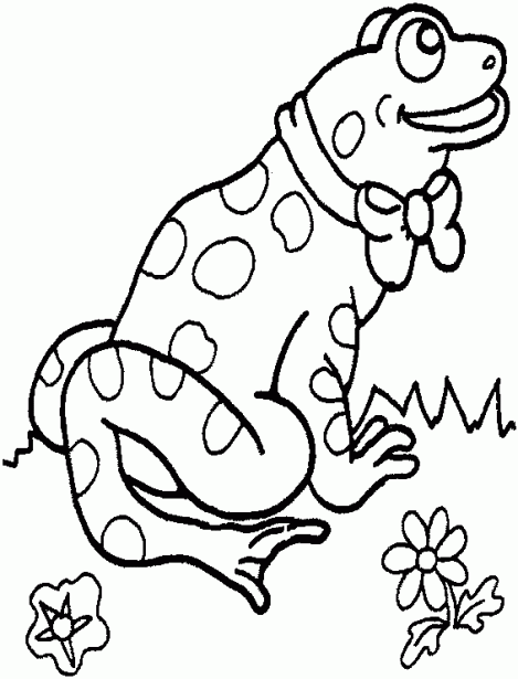 Dibujos de sapos para pintar - Imagui