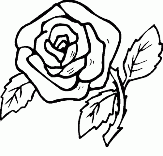 Dibujos para imprimir y colorear: Rosas para colorear