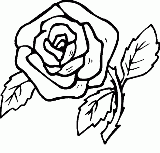 Dibujos para imprimir y colorear: Rosas para colorear Dibujos para imprimir y colorear: Rosas para colorear