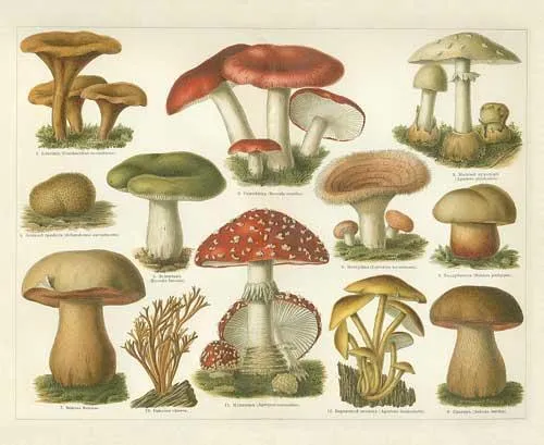 Dibujos de setas para imprimir - Imagenes y dibujos para ... Dibujos de setas para imprimir - Imagenes y dibujos para ...