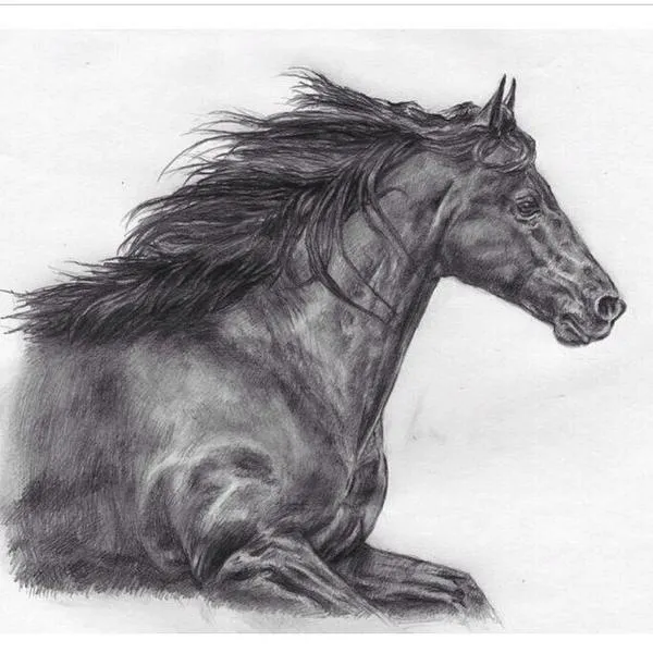 Dibujos Increíbles on Twitter: "Uno de los animales mas difíciles ...