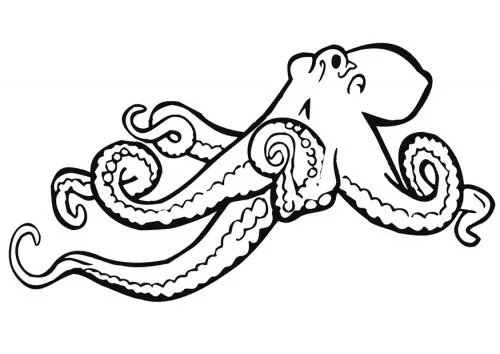Dibujos pulpo para colorear e imprimir - Imagui Dibujos pulpo para colorear e imprimir - Imagui