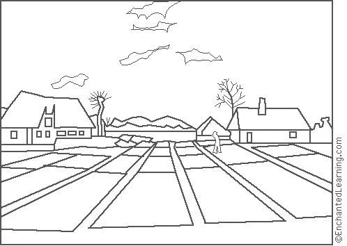 campo de tullipanes.jpg?imgmax=640