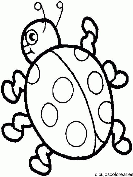 Dibujos de Animales | Dibujos para Colorear Dibujos de Animales | Dibujos para Colorear