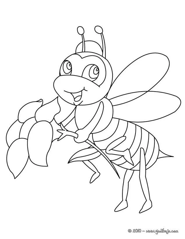 Dibujos INSECTOS para colorear, ABEJA CON UNA FLOR para imprimir Dibujos INSECTOS para colorear, ABEJA CON UNA FLOR para imprimir
