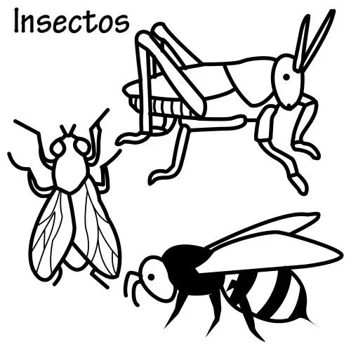 Dibujos de insectos para colorear e imprimir - Imagui Dibujos de insectos para colorear e imprimir - Imagui