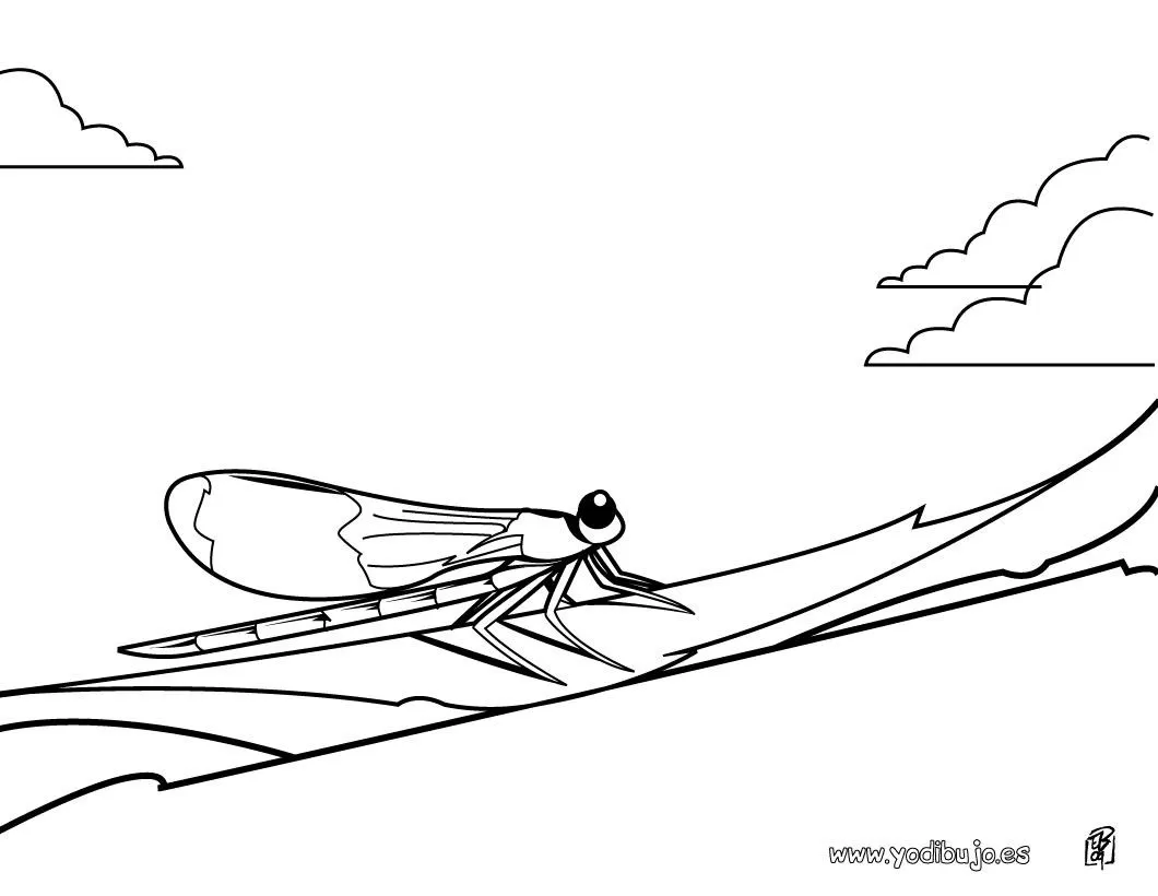 Dibujos INSECTOS para colorear, libélula para imprimir Dibujos INSECTOS para colorear, libélula para imprimir