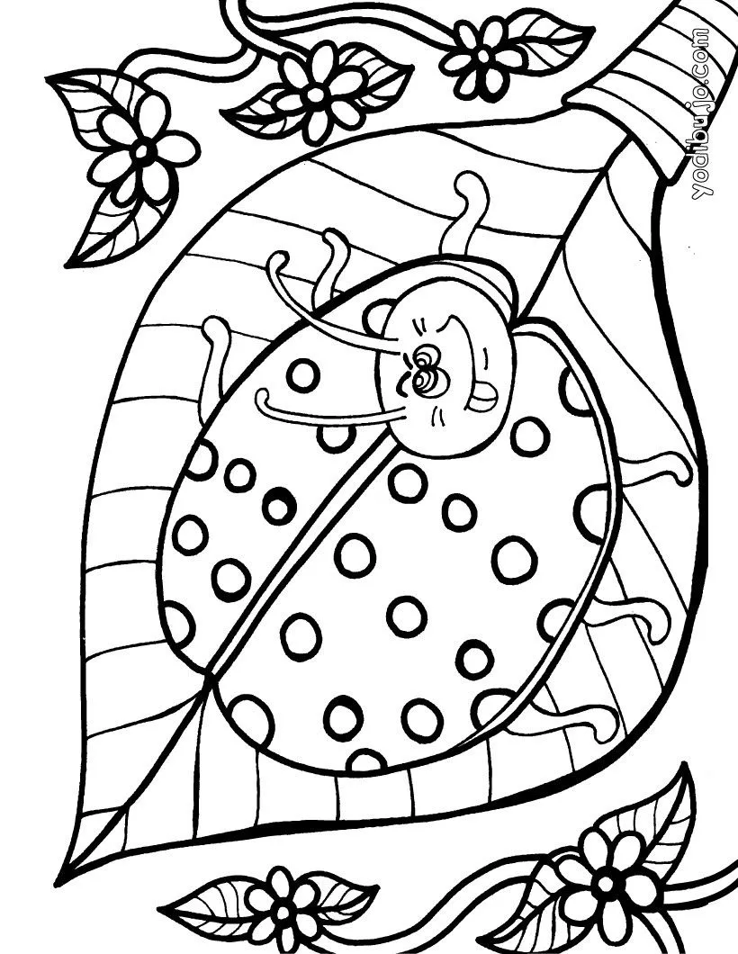 Dibujos INSECTOS para colorear, mariquita hermosa para imprimir Dibujos INSECTOS para colorear, mariquita hermosa para imprimir