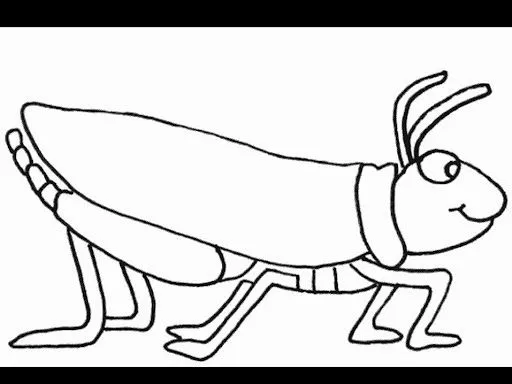 DIBUJOS DE INSECTOS Y GUSANOS PARA COLOREAR DIBUJOS DE INSECTOS Y GUSANOS PARA COLOREAR