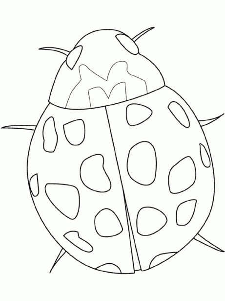 Catarina para dibujar - Imagui