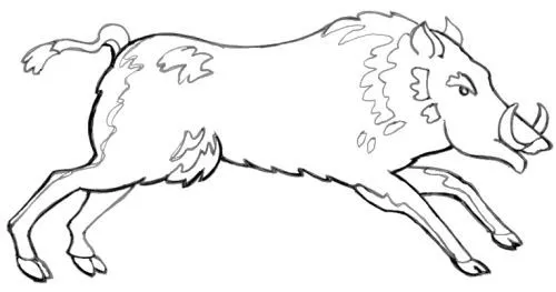 DIBUJOS DE JABALIES PARA COLOREAR