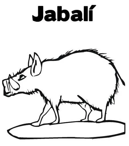 coloring_book_page_jpg_468x609 ...