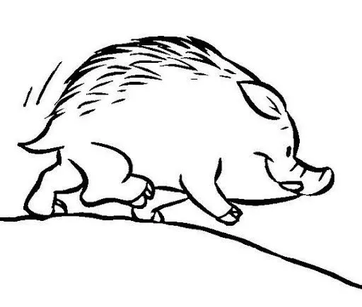 DIBUJOS DE JABALIES PARA COLOREAR | Dibujos para colorear