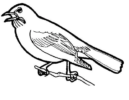 DIBUJOS DE JILGUEROS PARA COLOREAR | Dibujos para colorear DIBUJOS DE JILGUEROS PARA COLOREAR | Dibujos para colorear