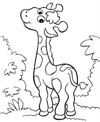 Dibujos de jirafas infantiles para colorear - Imagui Dibujos de jirafas infantiles para colorear - Imagui