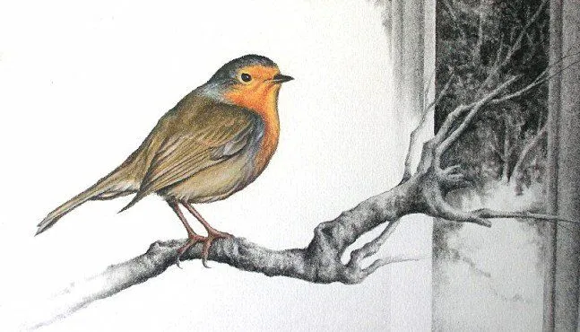 DIBUJOS DE JOAQUIN MORALES