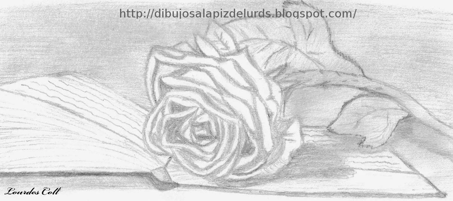 Mis dibujos a lápiz: abril 2011