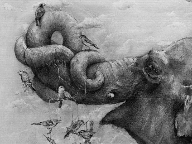 Dibujos en lápiz de Adonna Khare (10 imágenes) Dibujos en lápiz de Adonna Khare (10 imágenes)