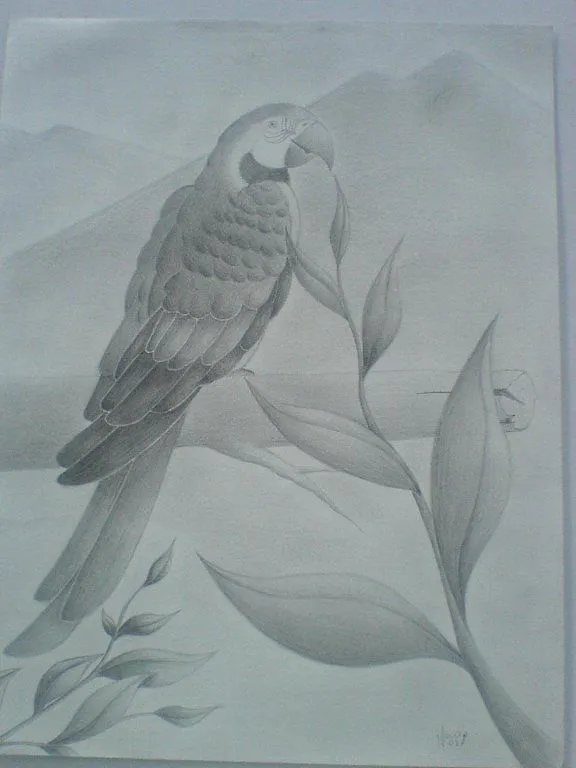dibujos a lapiz de amor - Buscar con Google | Dibujos bonitos ... dibujos a lapiz de amor - Buscar con Google | Dibujos bonitos ...