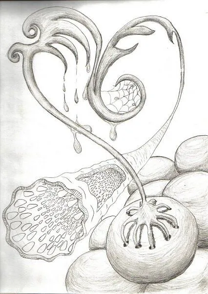 Fotos de amor para dibujar a lapiz - Imagui